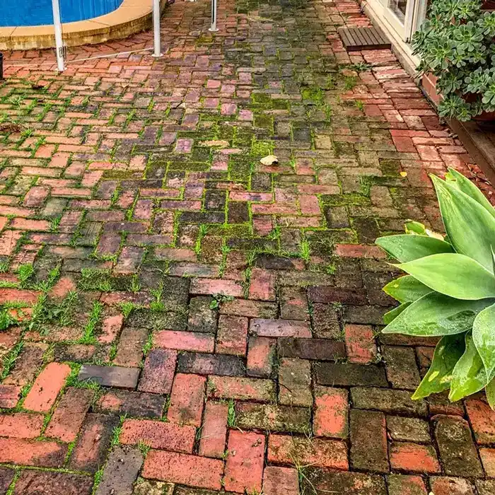Brick Pavers before pressure cleaning
