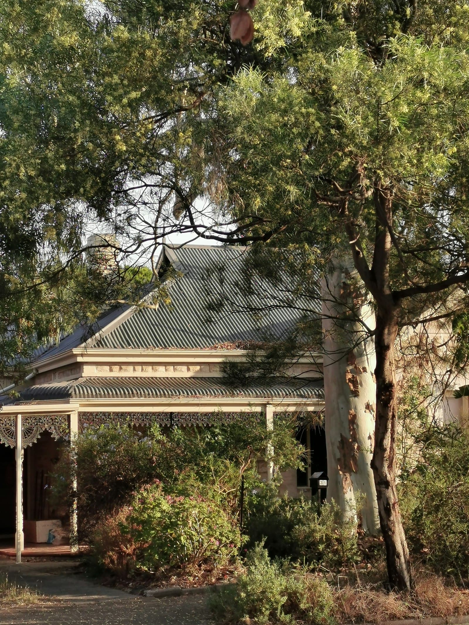 Roof Washing Adelaide: The Complete Guide